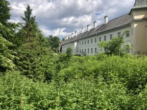 Klostermariahilfbeeg 1000
